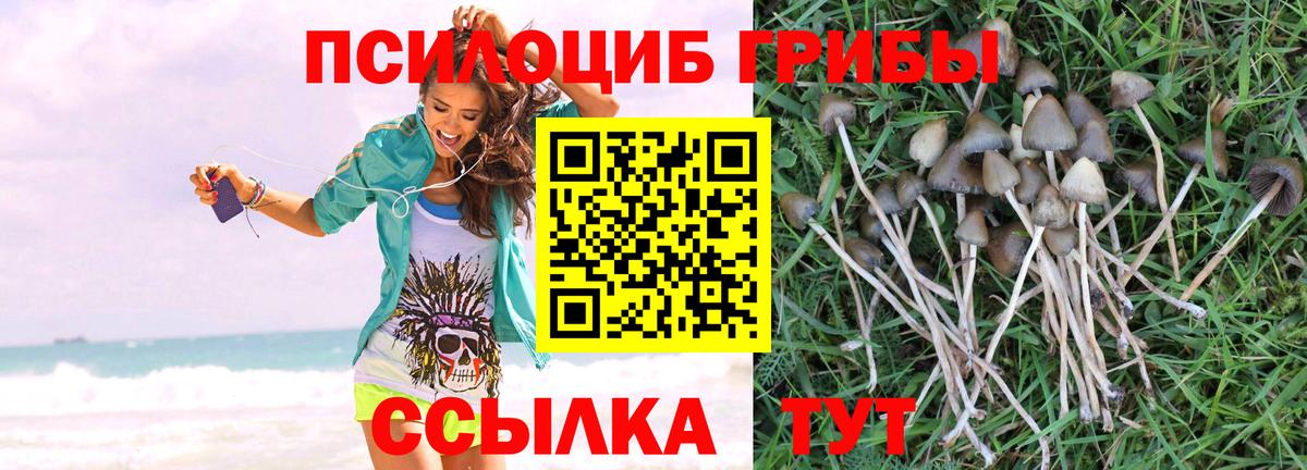 продажа наркотиков  Вход с VPN  Бутурлиновка  Галлюциногенные грибы прущие грибы 
